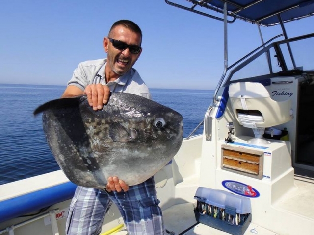  Moonfish 